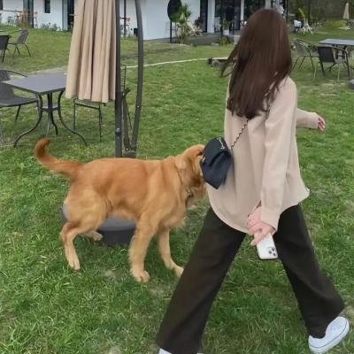 花花万物第二季 封面